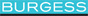Burgess Yachts