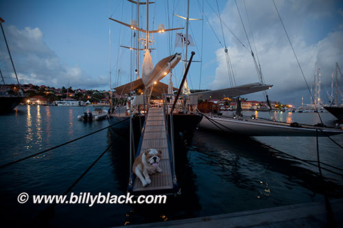 BB_MG_7536